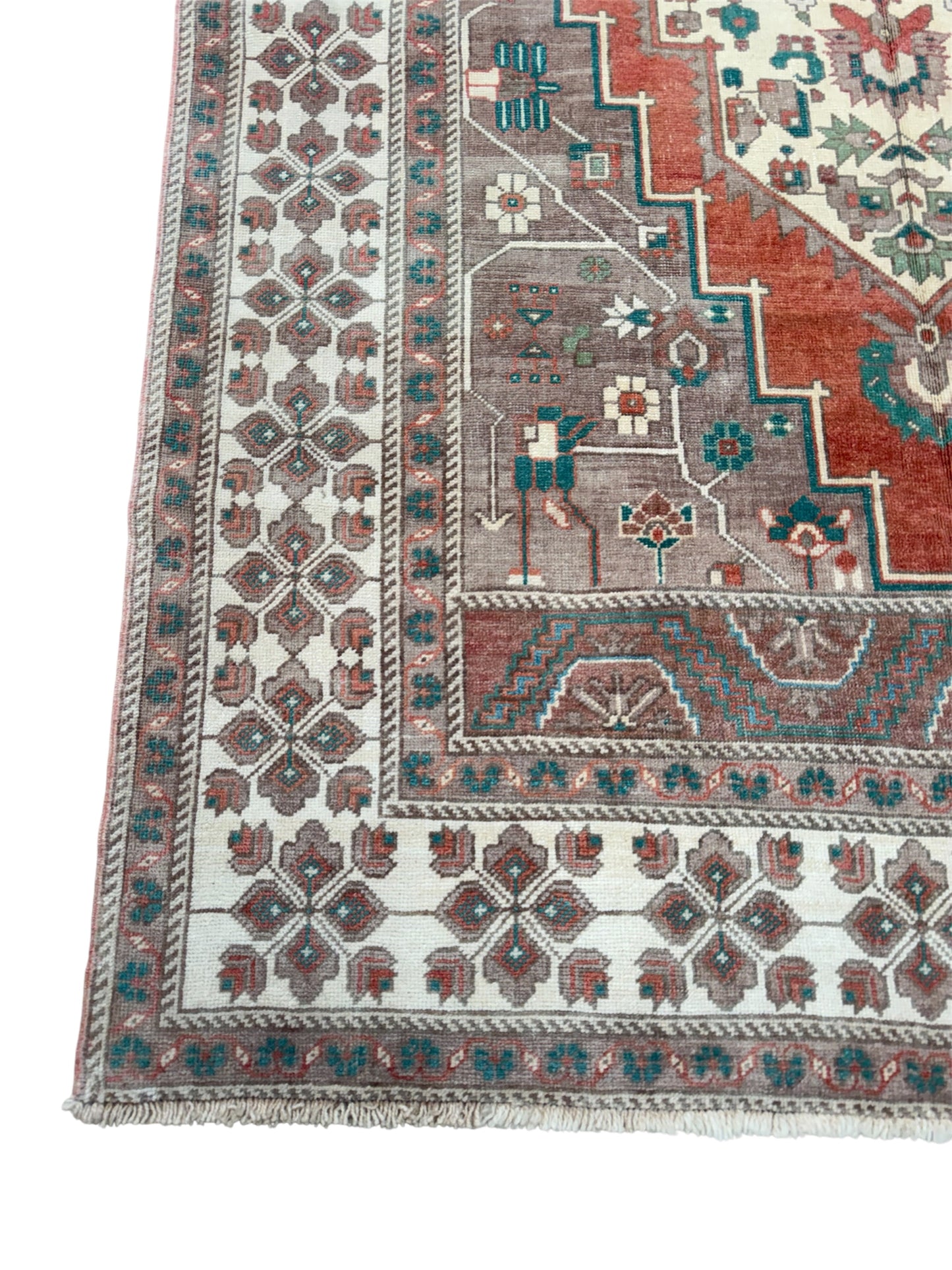 Turkish Taspinar, 5.6 x 10.4
