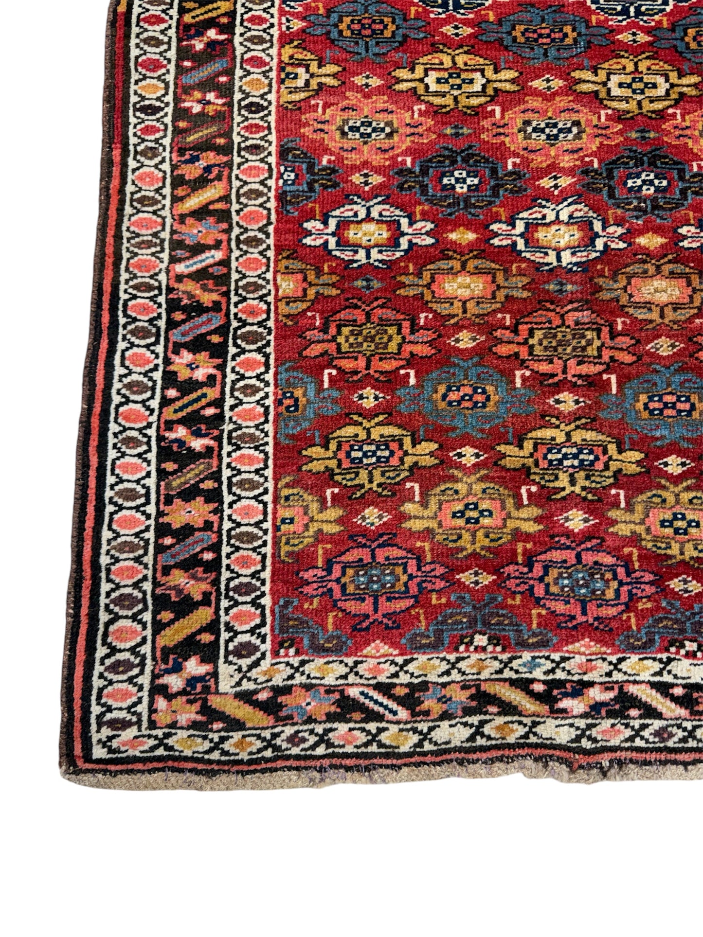 Bidjar, 3.4 x 4.11