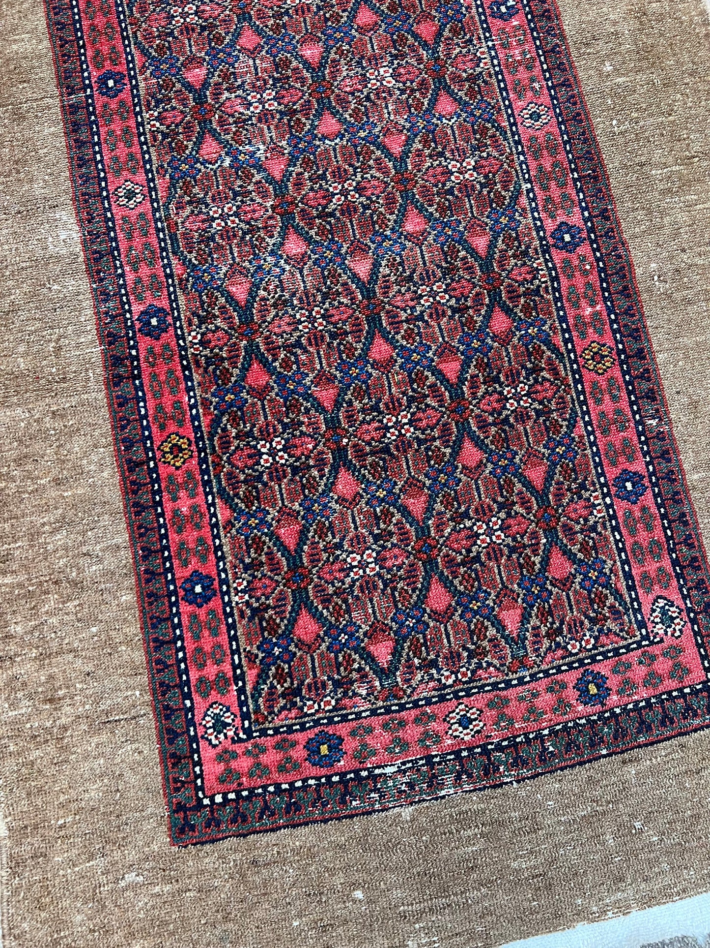 Persian Sarab, 3.1 x 9.9